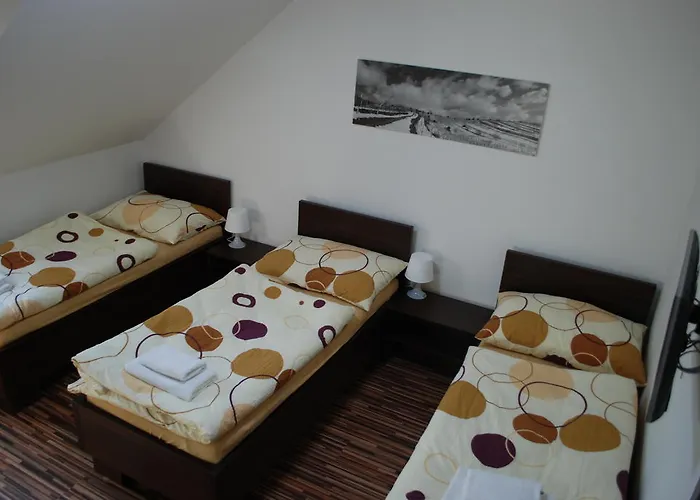 Πανσιόν Na Dedine 3*